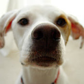 Jon Shoemaker's photo