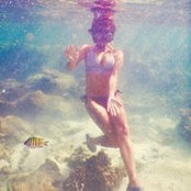 Amy Azimi's photo