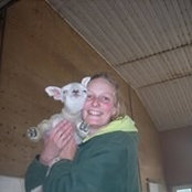 Sylvia Debeer-Veen's photo