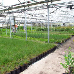 PLANT MATERIALS - Products