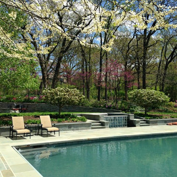 Hardscape/Pool