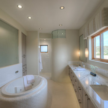 Territorial Update - Master Bathroom