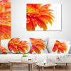 Orange Gerbera with Raindrops Floral Throw Pillow, 16"x16"