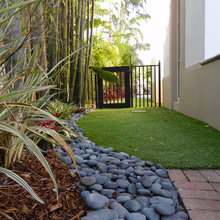 Backyard Turf and Lighting