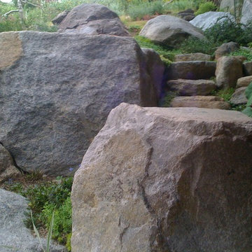 Lake Tahoe Project