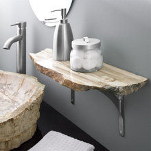 Petrified Wood