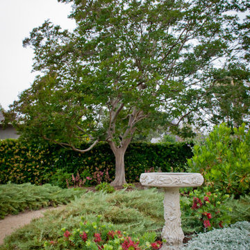 Bird Bath in Meadow