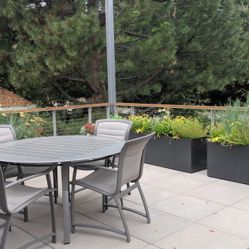 Pollinator Garden and Green Roof