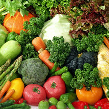Vegetable garden Designs