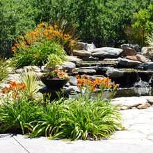 Water Features
