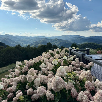 Mountain Top Magic