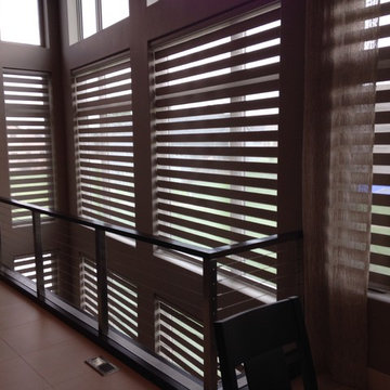 Allure Transitional Shades