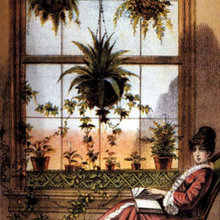 Victorian house plants