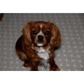 Stacy Young's photo