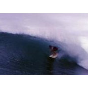 Steve Woods's photo