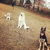 Brittany Kinder's photo