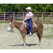 Judy Shulter's photo