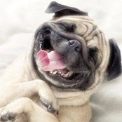 Sue Chapman's photo