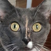 Rebecca Paff's photo