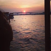 Neda Sheep's photo