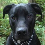 Debi Beck's photo