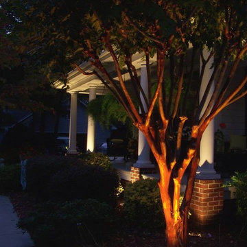Lighting in the Landscape