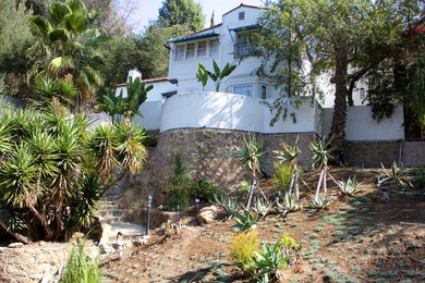 Mediterranean garden in Los Angeles.