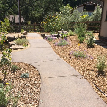 Natural pervious concrete paths with PerkTop