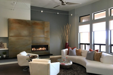 Inspiration for a contemporary living room remodel in Phoenix