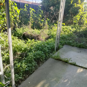 Full Yard Cleanup & Landscape Refresh