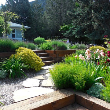 Urban Meadow