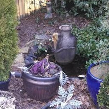Landscape Ideas
