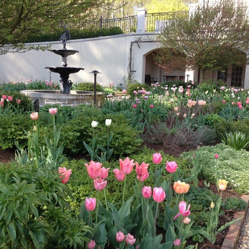 Spring Bulb Designs