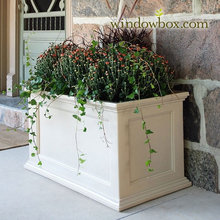 Garden, Front Porch