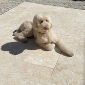 Missy Hurwitzs foto