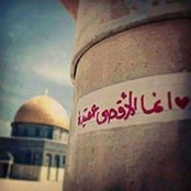 أبرار أحمدs foto