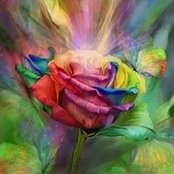 Aneesa Menk's photo