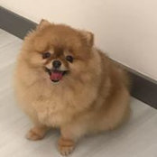 Kady Cheung's photo