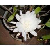 Vicky Hanner's photo