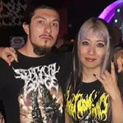 Kahori Takeda's photo