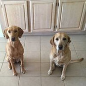Patti Benton's photo