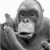 Keith Saha's photo