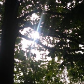 Foto de Sansan