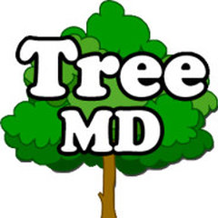 Tree MD of Orange County