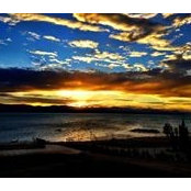 Cheri Moore's photo
