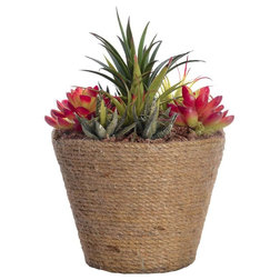 Beach Style Artificial Plants And Trees by ShopLadder
