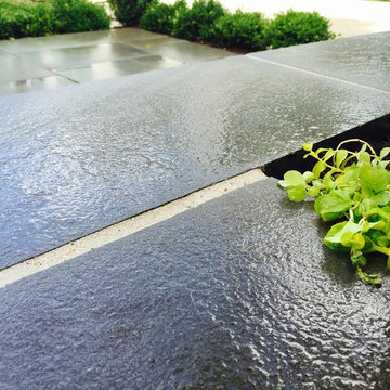 Bright Bluestone Patio with Oak Leaf Hydrangea Garden