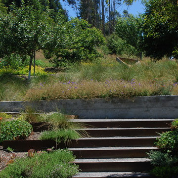 modern meadow