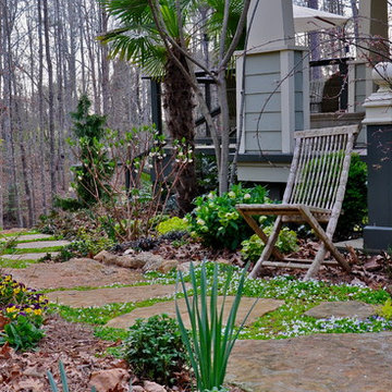 Home in the Woods