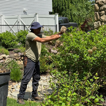 Fine Gardening